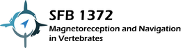 Logo: SFB 1372 - Magnetoreception and Navigation in Vertebrates