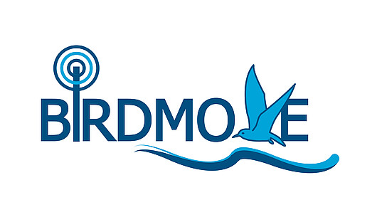 Birdmove Projekt Logo