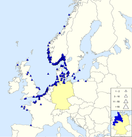 Places, where ringed young common guillmots were found in their first winter. 