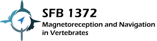 Logo: SFB 1372 - Magnetoreception and Navigation in Vertebrates