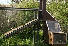 The catching box of the Helgoland trap