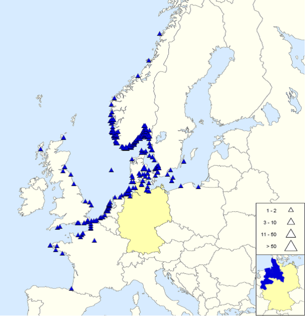 Places, where ringed young common guillmots were found in their first winter. Places, where ringed young common guillmots were found in their first winter.