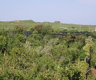 The catching garden The catching garden