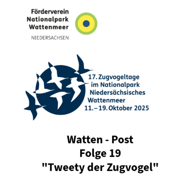 Logo of the "Förderverein Nationalpark Wattenmeer" and the logo of the "17. Zugvogeltage", as well as the title of the episode of "Watten - Post": "Tweety der Zugvogel"